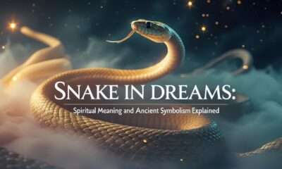 Snake in Dreams